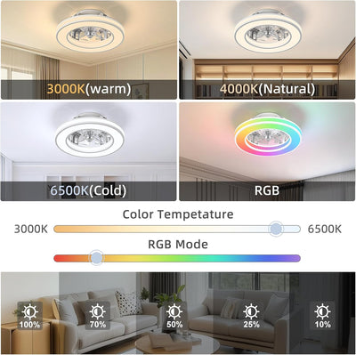 Ateroll Reversible Fan Light: All-Season Comfort